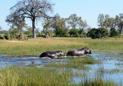 Okavango Delta