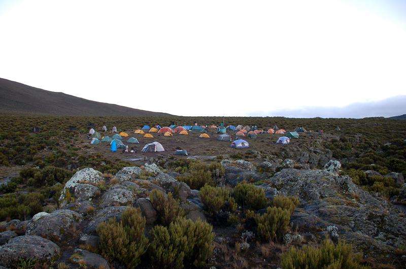 Shira Camp
