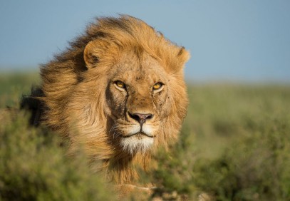 7-Day Tanzania Big Five Adventure