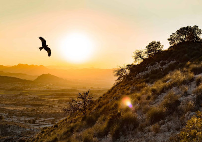 Birding, Landscapes and Cultural Trip in Spain