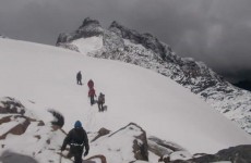 10-Day Rwenzori Mountains and Safari Uganda