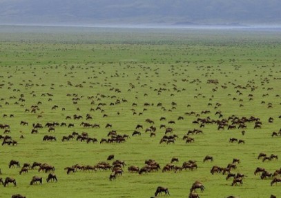 12-Day Kenya & Tanzania Budget Safari