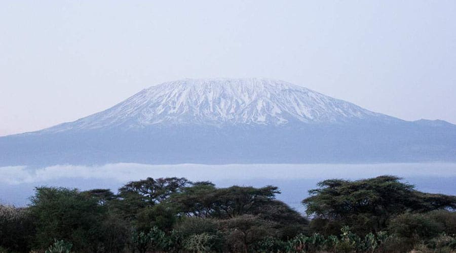Amboseli19