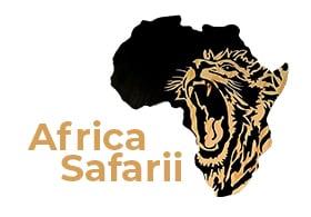 Africa Safarii