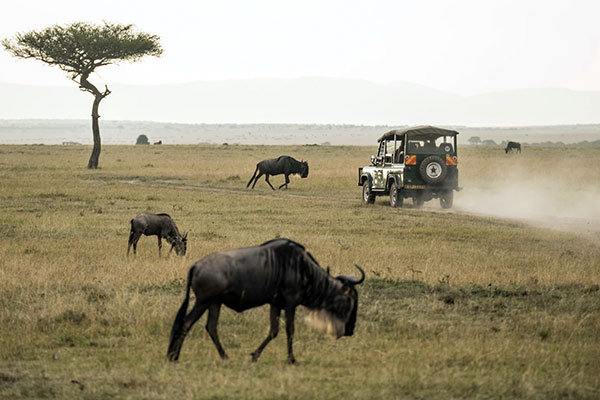 Maasai Mara National Reserve