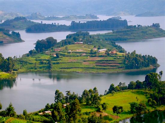Bunyonyi 1