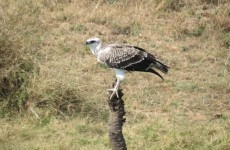 Classic Highlights & Cultural Tour