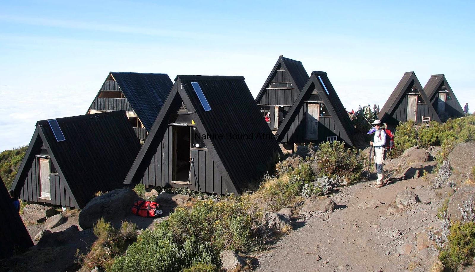 Marangu Hut 1