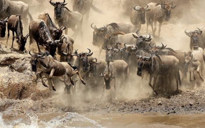 Masai Mara National Reserve 01