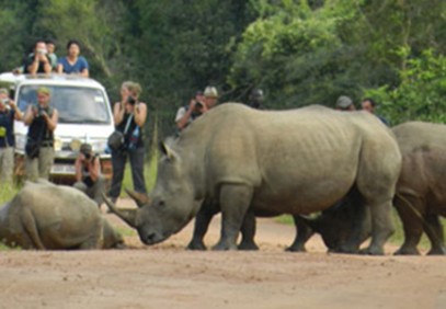 3 Days Murchison Falls National Park & Rhinos