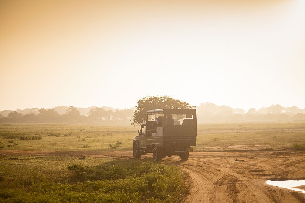 Safari Car On Sunrise In Yala National Park, Sri Lanka