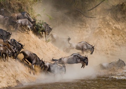 8-Day Explore The Wild Safari Tanzania