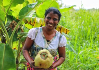 8-Day Sri Lanka Wildlife & Village Safari