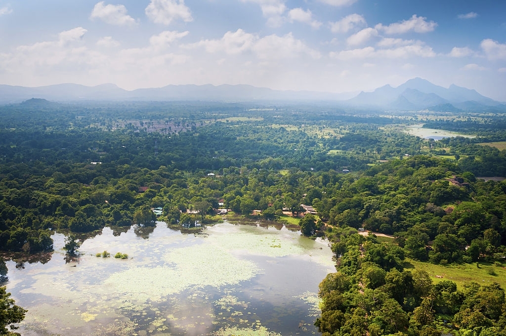 Valley In Central Part Of Sri Lanka Island, View From Sigiriya Lion Rock