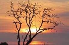 5 Days Uganda Big Five Safari