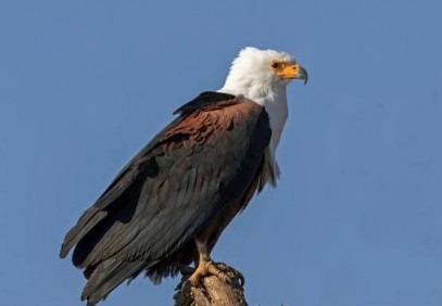 8-Day Southern Circuit Off the Beaten Track Safari