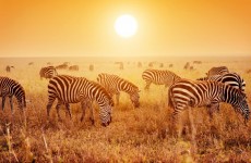 3-Day Tarangire, Ngorongoro and Lake Manyara National Park