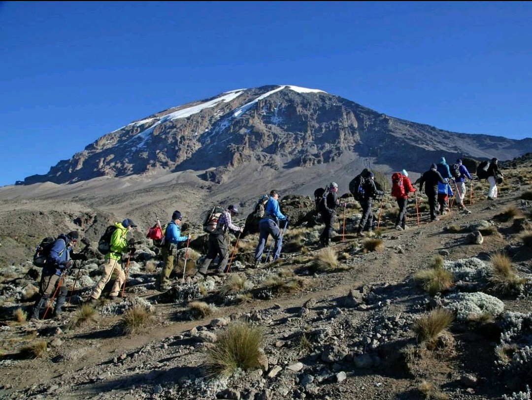 Img 20210109 114607