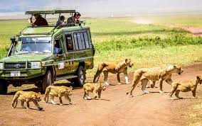 Images (8)