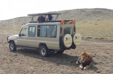 4-Day Kenya Highlights Safari