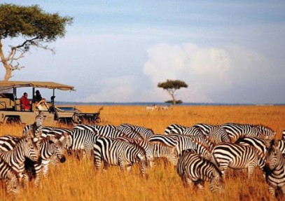 7-Day Northern Kenya & Lakes Safari