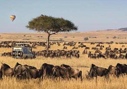 4-Day Bush & Lake Safari