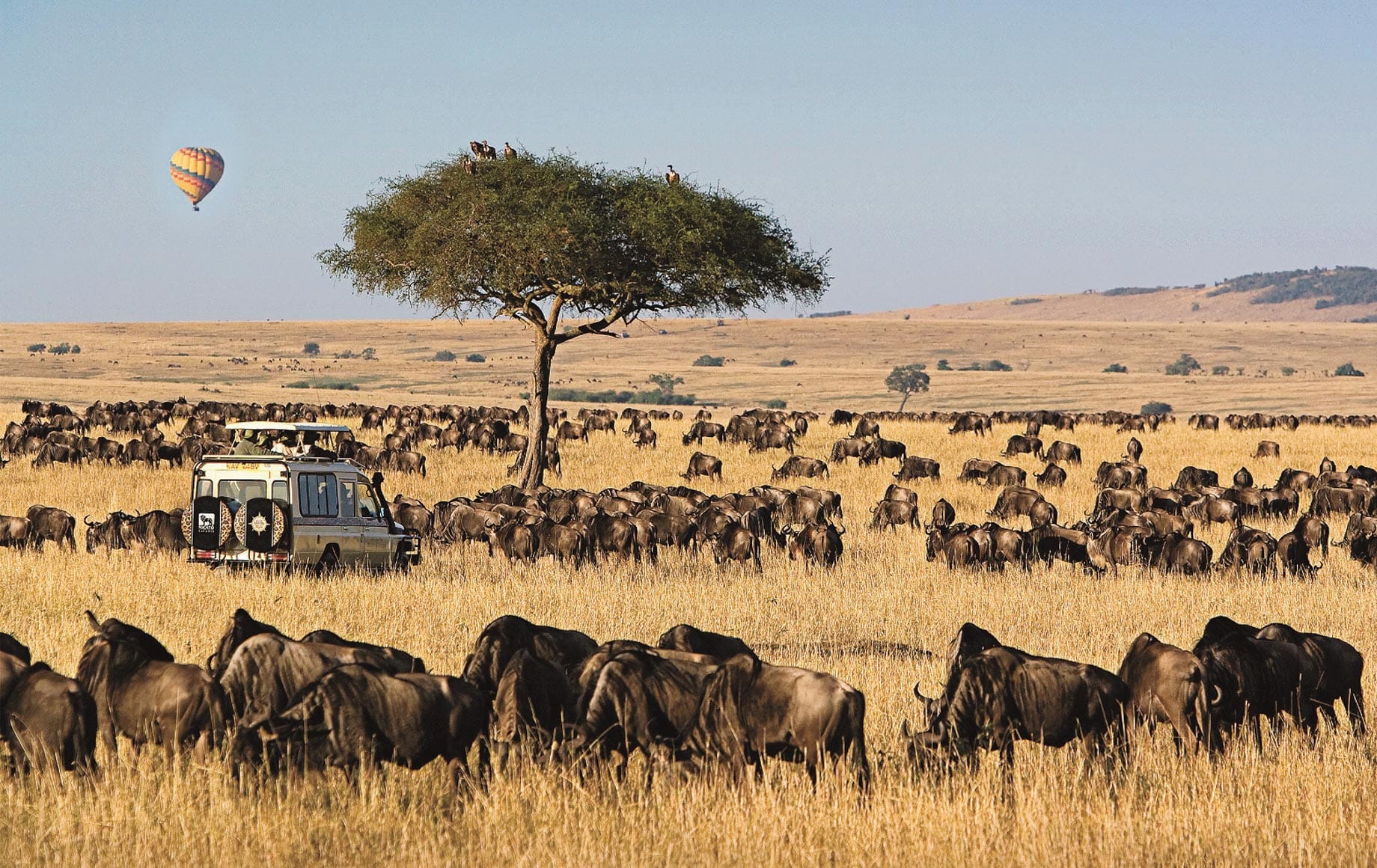 Maasai Mara 8