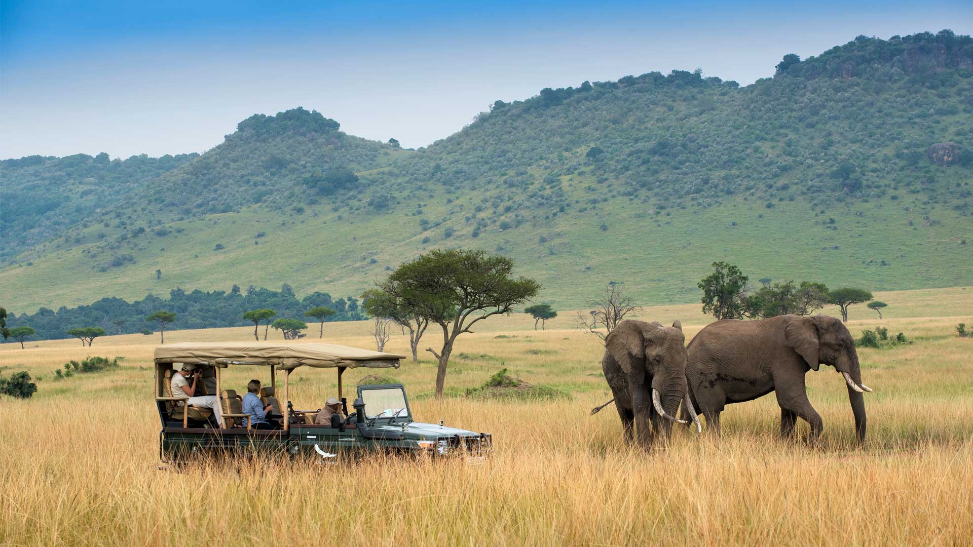 Seeing Elephants On A Game Drive In The Masai Mara
