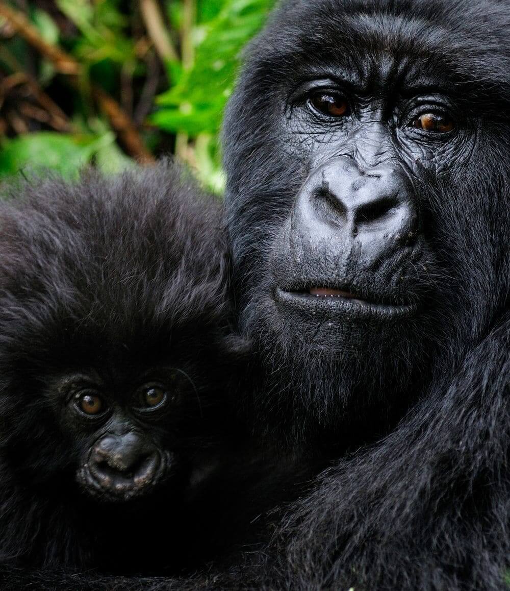 Baby And Mother