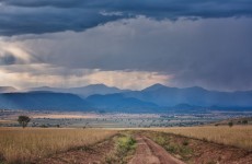 12-Day Uganda Safari