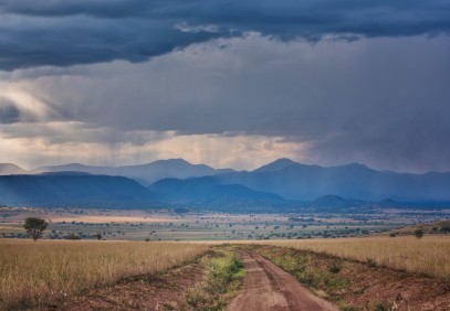 12-Day Uganda Safari