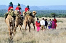 Wildlife and Communities – A Total Perspective