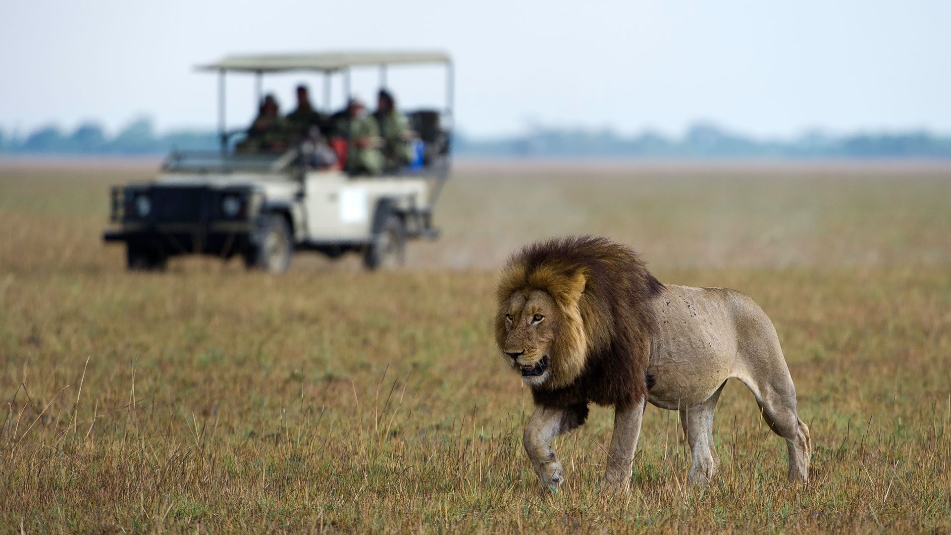 Game Drive In Kafue National Park1
