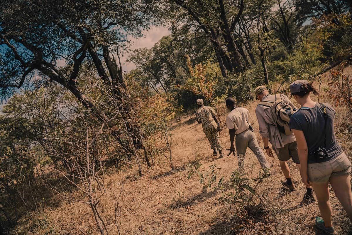 Kafuntasafaris Bushwalk 4