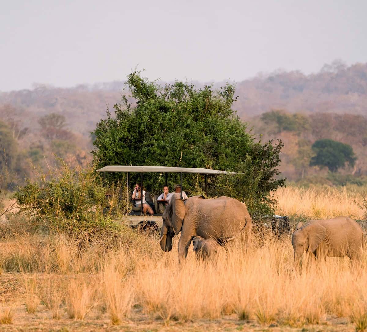 Kafuntasafaris Drive 18