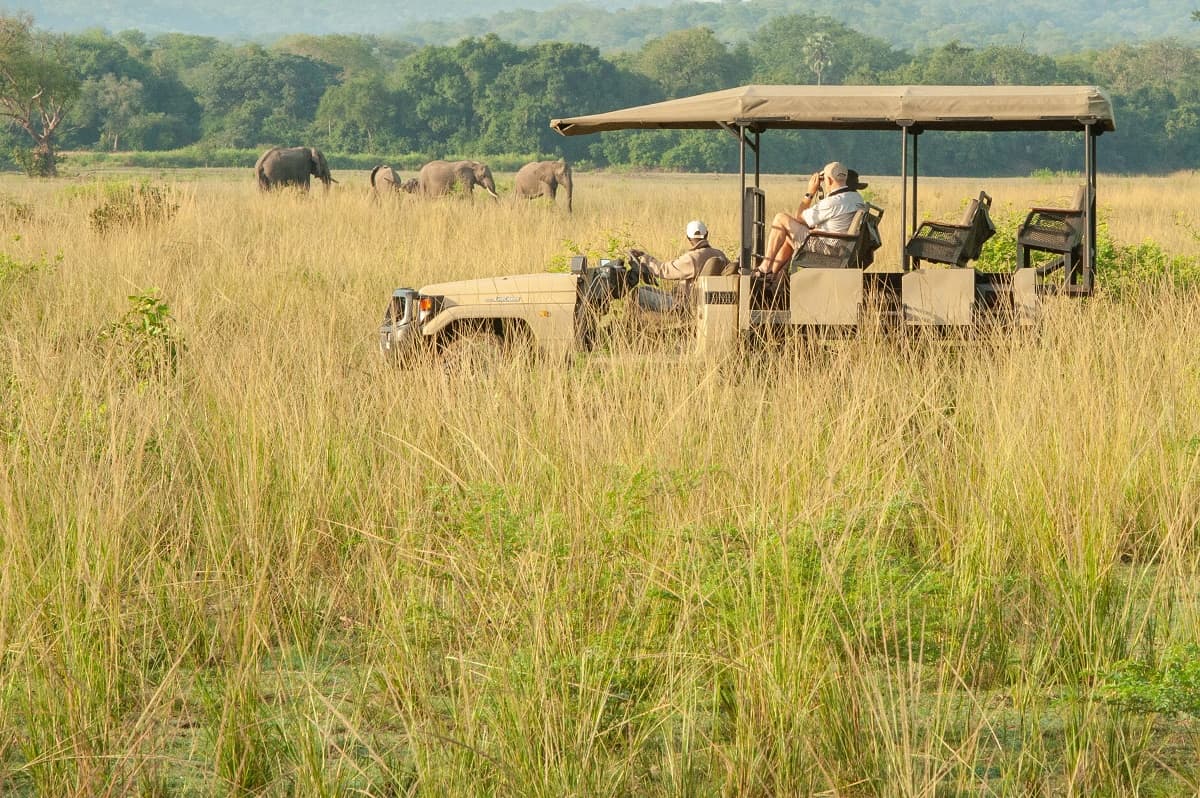Kafuntasafaris Drive 8