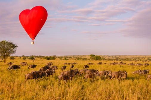 The Love Balloon