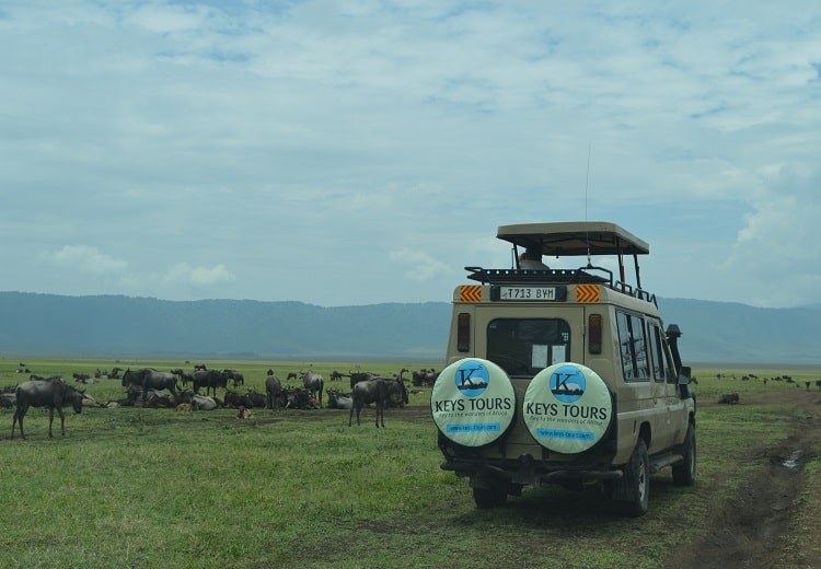 Keys Tours Safaris Vehicle
