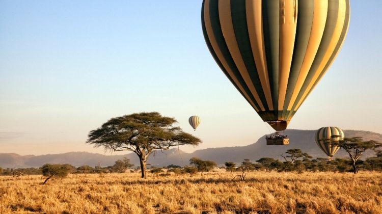 3 Day Private Fly In Serengeti Tour With Hot Air Balloon Tour 2 263221 1510029029