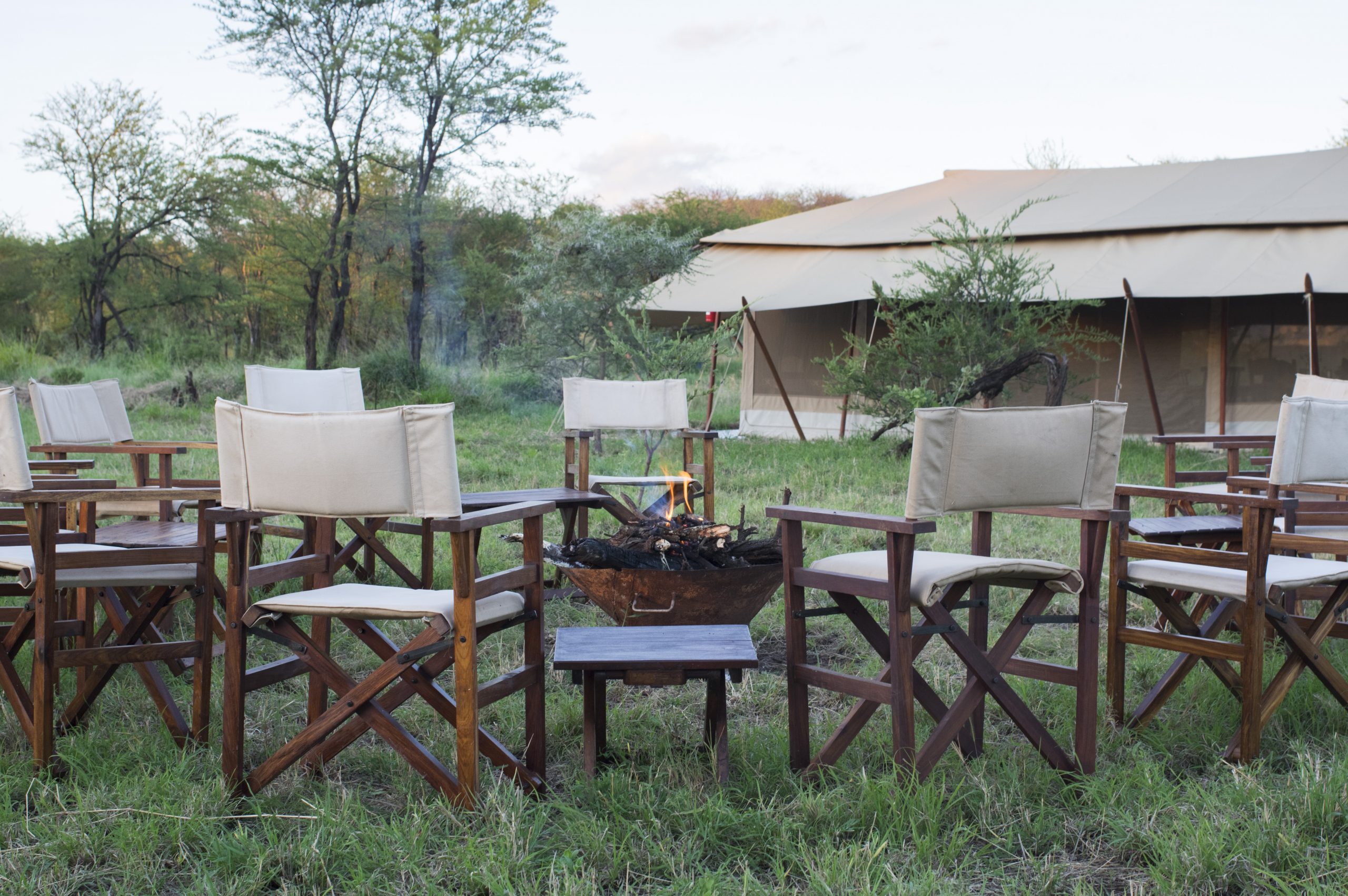 Acacia Campfire 2