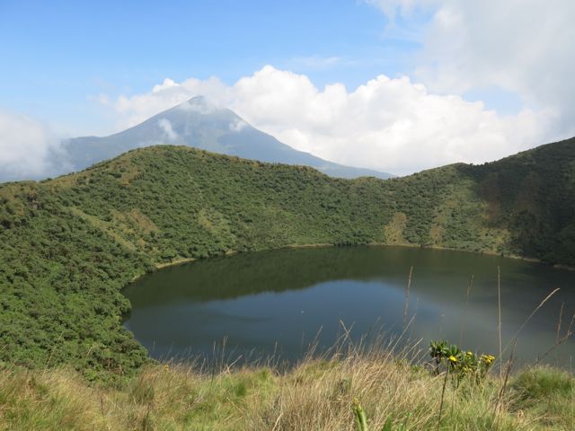 Vnp Pic (45)