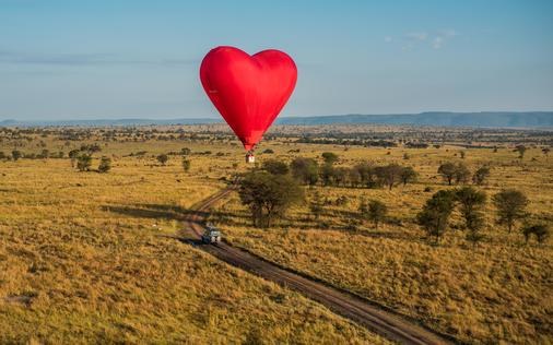 Love Is In The Air