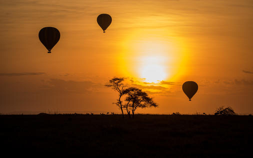 Catch The Sunrise From The Skies