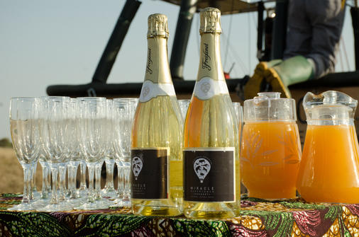 Celebrate Your Safari From The Sky