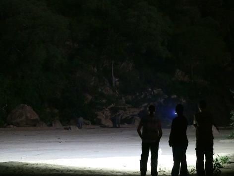 Spot Elephants On Night Safari