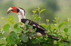 Private Camping Safari to Serengeti & Ngorongoro