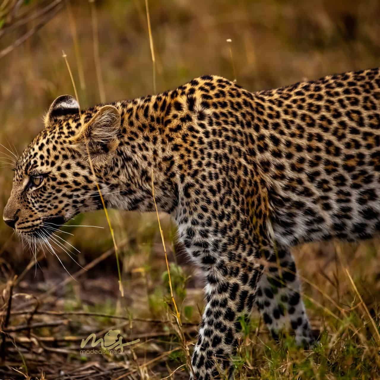 Img 20220702 102645 279