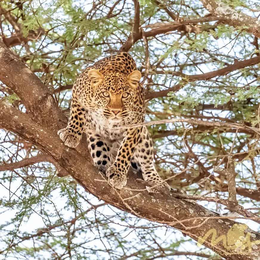 Img 20220702 102821 294