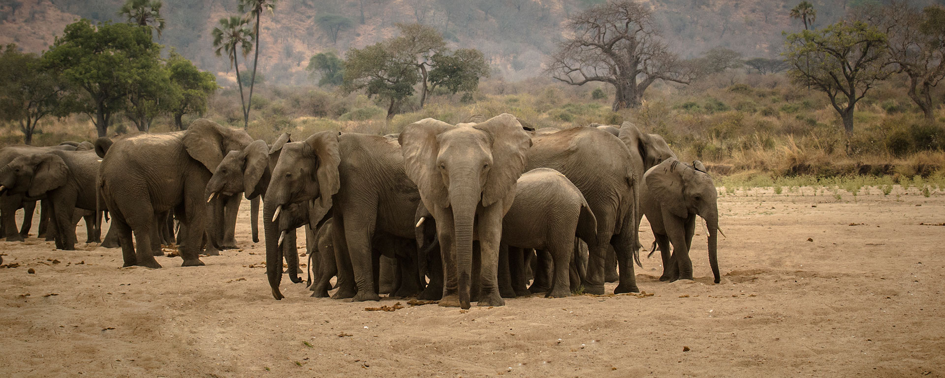 Ruaha2