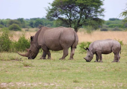 Whatsapp Image 2022 09 08 At 12.31.13